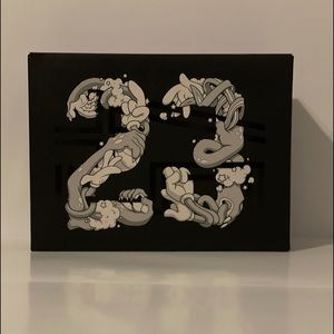 2016 Jordan Space Jam